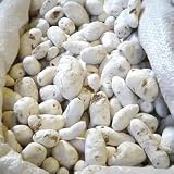 White Tunta Potatoes