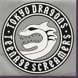 TEENAGE SCREAMERS 7 INCH (7" VINYL 45) UK ISLAND 2004