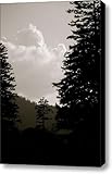 See the Mountain through the Trees Canvas Print / Canvas Art - Artist Kimberly Camacho