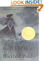 The Witch of Blackbird Pond