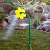 Flower Shower Water Feature