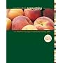 Computer Accounting with Peachtree Complete 2009 with CD-ROM