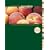 Computer Accounting with Peachtree Complete 2009 with CD-ROM