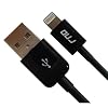RND Apple Certified Lightning to USB cable (1M/3.2 feet/black) made for iPhone iPad iPod