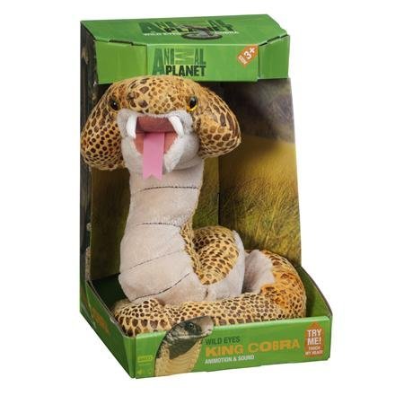 king snakes for sale
