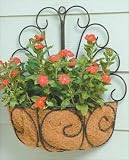 Deer Park Peacock Wall Basket With Coco Liner