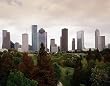Fall Comes to Houston Photograph - Beautiful 16"x20" Photographic Print by Carol M. Highsmith