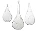 Best Value! Hanging Teardrop Terrarium Variety 3 Pack! Small 5.5
