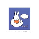 ナカバヤシ ディック ブルーナ ミッフィー フエルアルバム ア-LB-615-Bブルー 生活用品 インテリア 雑貨 インテリア 家具 フォトスタンド アルバム [並行輸入品]