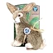 Akc Green Planet Rabbit - Large