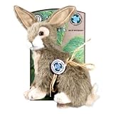 AKC Green Planet Rabbit Large Squeak Toy Jakks Pacific