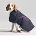 Pessoa Dog Blanket