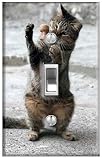 Cat Themed Light Switch Cover