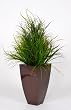 Artificial Grasses in Zinc Planter