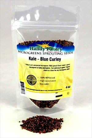 Blue Curled Kale Seeds - 4 Oz. Resealable Bag - Use for Indoor Gardening, Growing Microgreens & More | Micro Greens Salad Garden