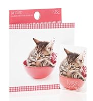 Kitten Photo Gift Card