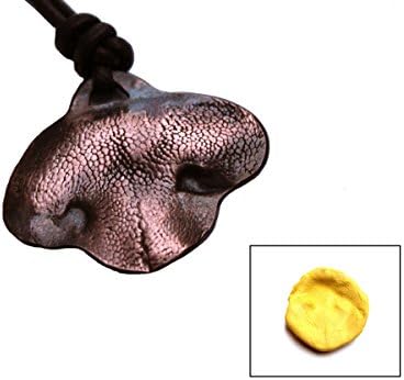 Custom copper pet nose or pawprint necklace, made from your pet's actual prints!!