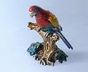 Parrot Animal Box