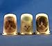 Porcelain China Collectable Thimbles - Set of Three Kittens