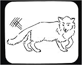 Mouse Pad with animal, fox, zoo, fauna, park