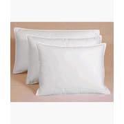 Pacific Coast Restful Nights Ultima Fibers Egyptian Cotton Cover King Pillow Set - (4 King... by Pacific Pillows
