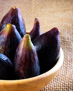 Magnolia Edible Fig Plant - Ficus carica - Canning