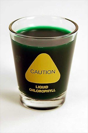 Wheatgrass Shot Glass - 2 Oz. - Humorous: Caution... Liquid Chlorophyll - Wheat Grass Juice Shotglass Wheatgrass Shot Glass - 2 Oz. - Humorous: Caution... Liquid Chlorophyll - Wheat Grass Juice Shotglass