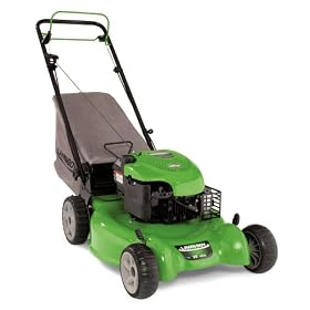 Lawn Boy 10641 20-Inch 6.5 GT Briggs & Stratton Gas Powered Variable Speed Rear Wheel Drive Self Propelled Lawn Mower Lawn Boy Lawn Mower