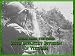 4th Infantry & 25th Infantry Divisions In Vietnam