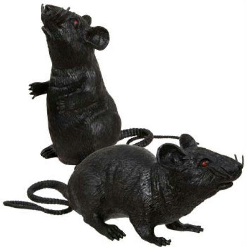 Top 5 Best rubber rat for sale 2016 BOOMSbeat