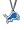 Detroit Lions