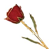 11 Inch Long Stem Dipped 24k Gold Trim Red Rose In Gold Gift Box