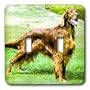 Dogs Irish Setter - Irish Setter - Light Switch Covers - double toggle switch