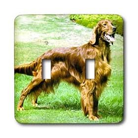 Dogs Irish Setter - Irish Setter - Light Switch Covers - double toggle switch