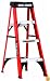 Black & Decker BXL3110-04  4-Feet  250 Pound Duty Rating Fiberglass Step Ladder Type I