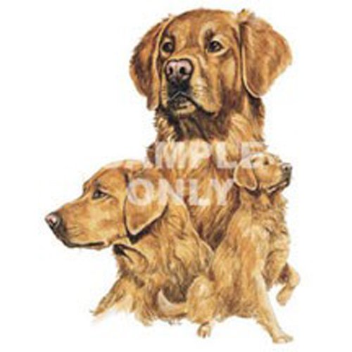 Golden Retriever Puppies Night Light