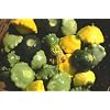 Renee's Garden Seeds - Squash Pattypan Tricolor - Summer Scallop Trio