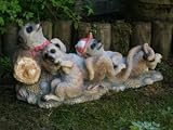 Sleeping Meerkats With Movement Sensor