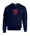 SDI NCAA Mascot Foil Crew Neck Sweatshirt