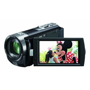 Sony DCR-SX45 Picture