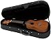 Lanikai Concert Ukulele Polyfoam Case