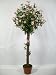 Pair of 4ft Potted Artificial Silk Pink Mini Diamond Rose Topiary Trees ~ Wedding Venue Reception & Home Decoration