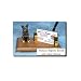 Australian Cattle Dog (Blue Merle) Desk Set
