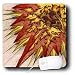 Cindy Thorrington Haggerty Earth Animals Spirits - Naughty but Nice Grandfather Sun - Mouse Pads