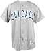 Youth Chicago Cubs Road Replica Jersey