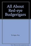 All about red-eye budgerigars