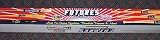 2008 Tristar Hidden Treasures Futures Authentics Autographed Bat