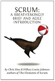 Scrum: a Breathtakingly Brief and Agile Introduction