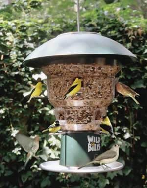 How About Wild Bill S 8 Station Squirrel Proof Bird Feeder