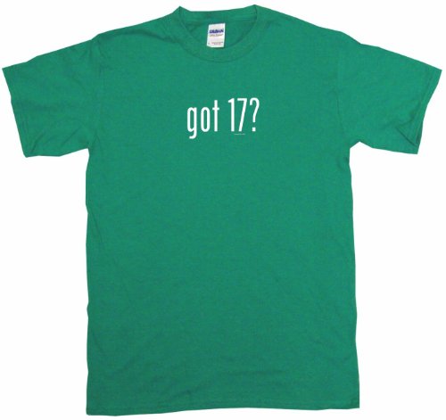 got 17? Kids T Shirt In 5 Colors Youth Large-Green